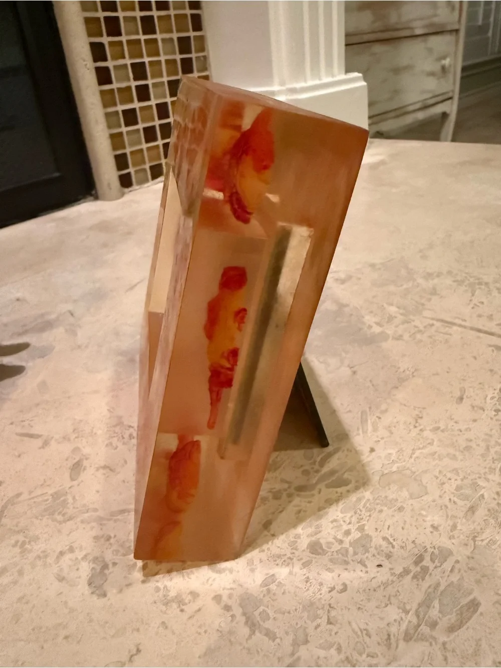Resin Lucite Anthropologie Fish Picture Frame 5 3/8” picture size 2 3/8”